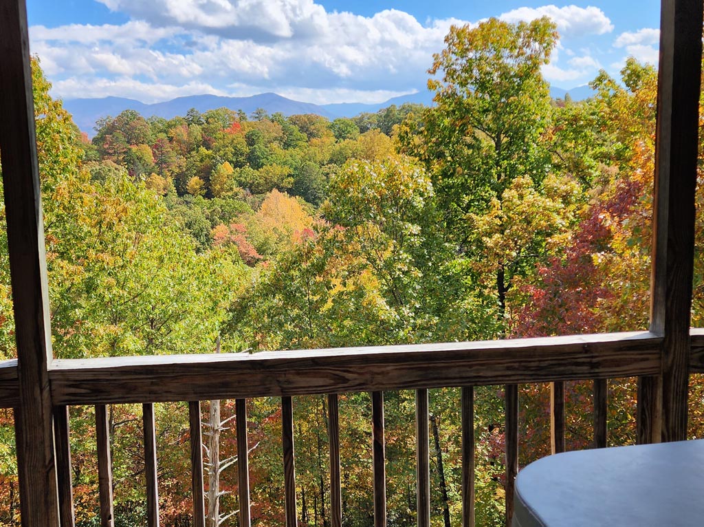 CJ's Cabin Hot Tub View